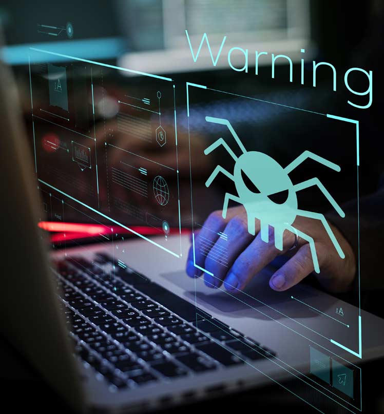 Viruses and Malware Removal